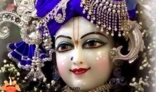 Krishna Bhajan Status God Whatsapp Status Video