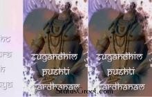 Maha Shivratri Special Full Screen Video Status Song For Whatsapp