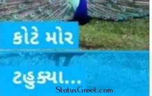 Kote mor tahukya Ashadhi bij whatsapp status video