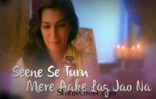Seene Se Tum Mere Aake Lag Jao Na whatsapp video status