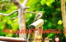 Mahobat barsa dena tu savan aaya hai monsoon special WhatsApp status video