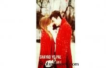 Shayad Ye Pal Phir Na Mile full screen WhatsApp status video