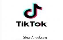 Comedy Tik Tok video download | Tik Tok video status