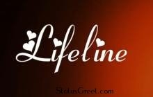 Beautiful love WhatsApp status