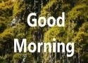 Good Morning Whatsapp Status Video