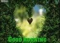 Sweet Good Morning Wishing  whatsapp Status Video Teri Ore