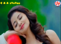 Gujarati love status video download