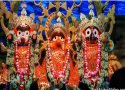 Rath Yatra Best Status Video Download