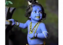 Happy  Krishna Janmashtami Status Video