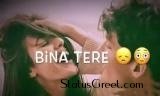 Bina Tere Koi Dilkash Nazara